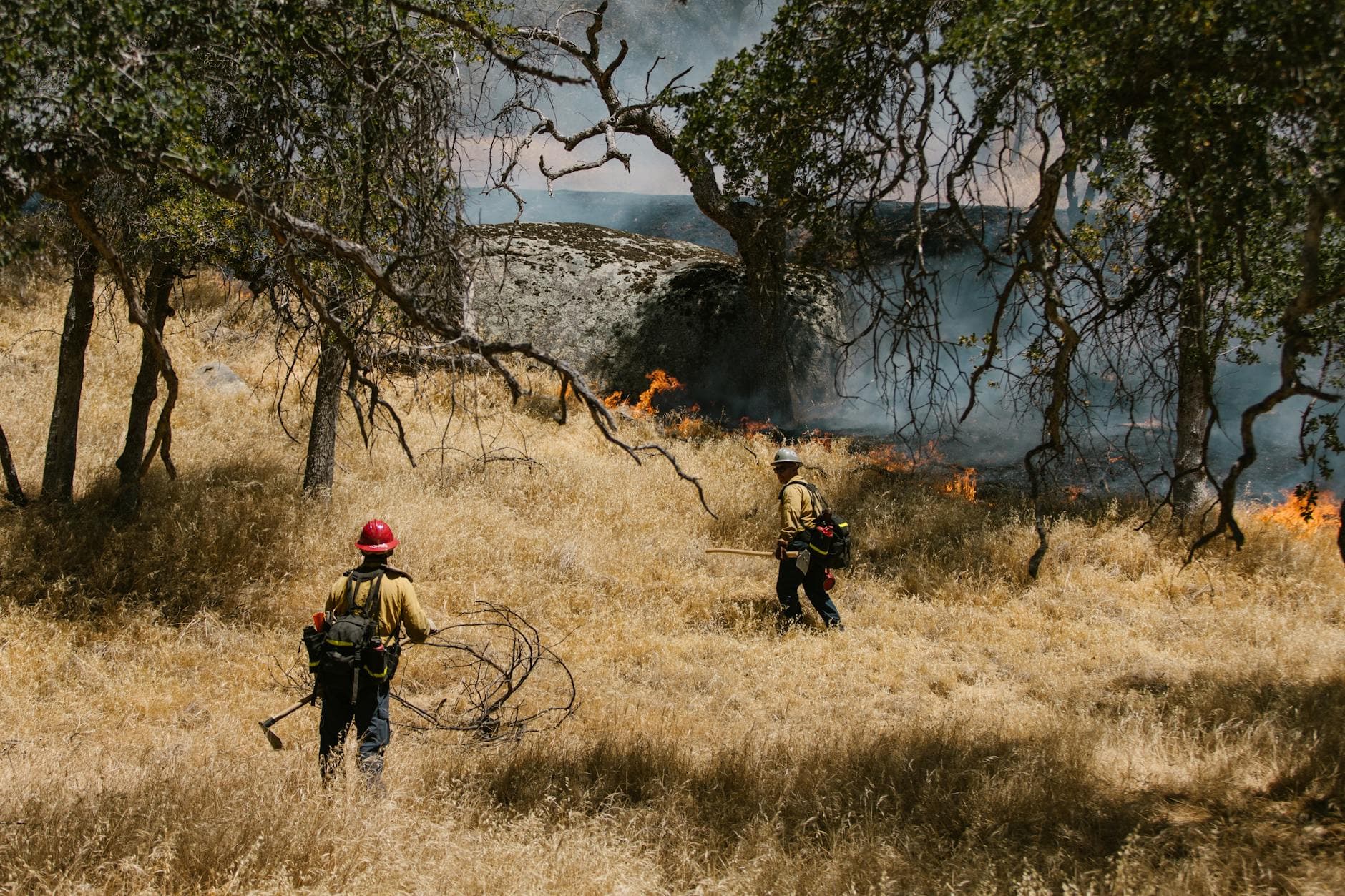 Brave firefighters controlling a wildfire in a dry Californian landscape.