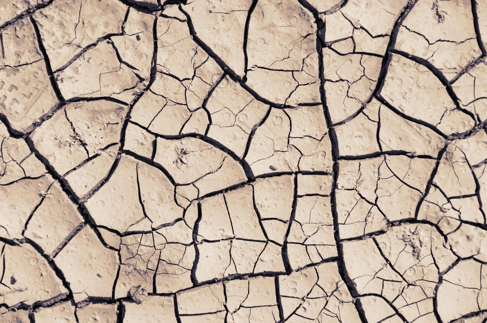 Close-up view of cracked and dry earth, highlighting patterns and textures caused by drought.