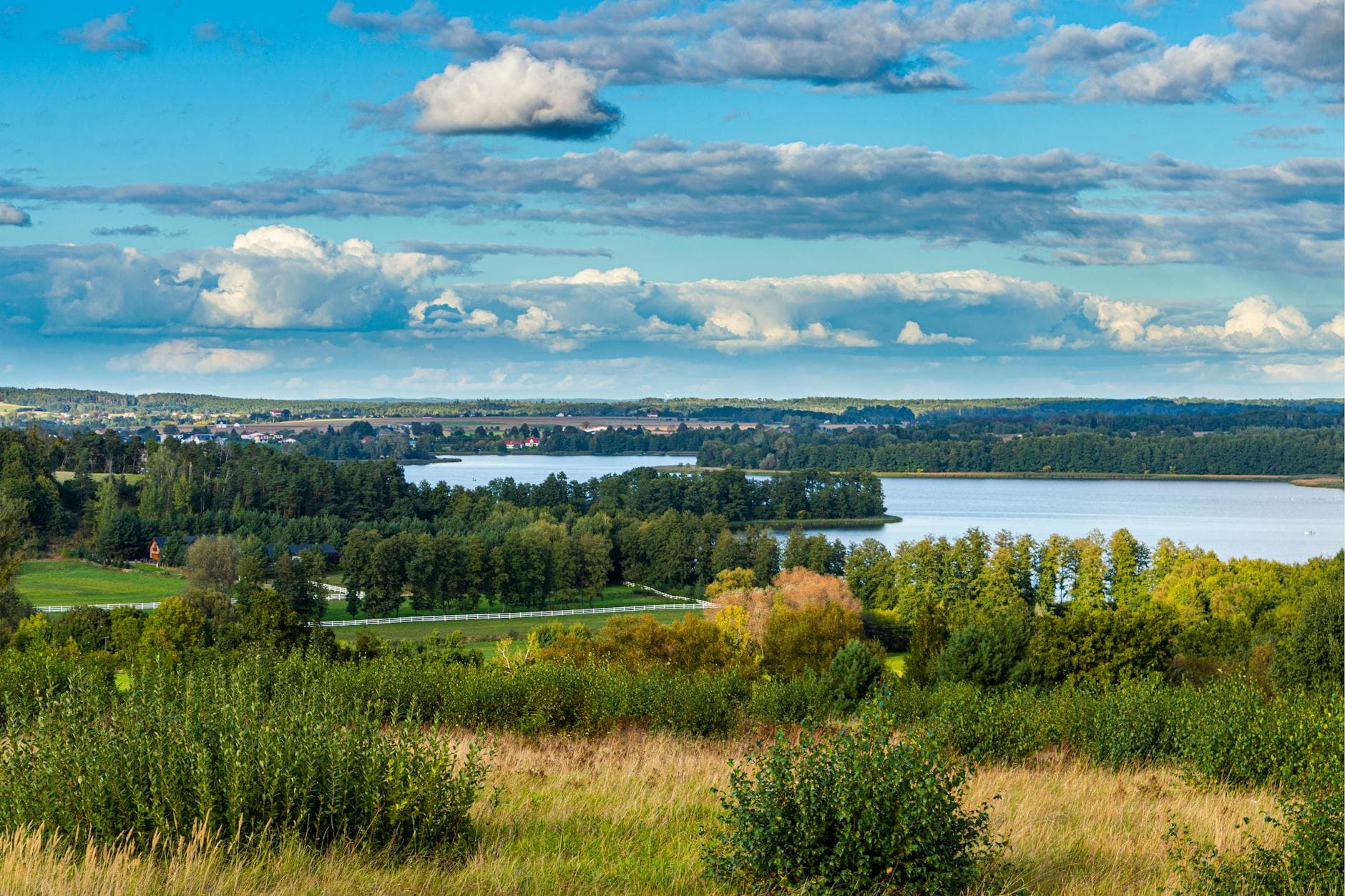 Picturesque view of the lake and lush greenery in Łężeczki, Poland.