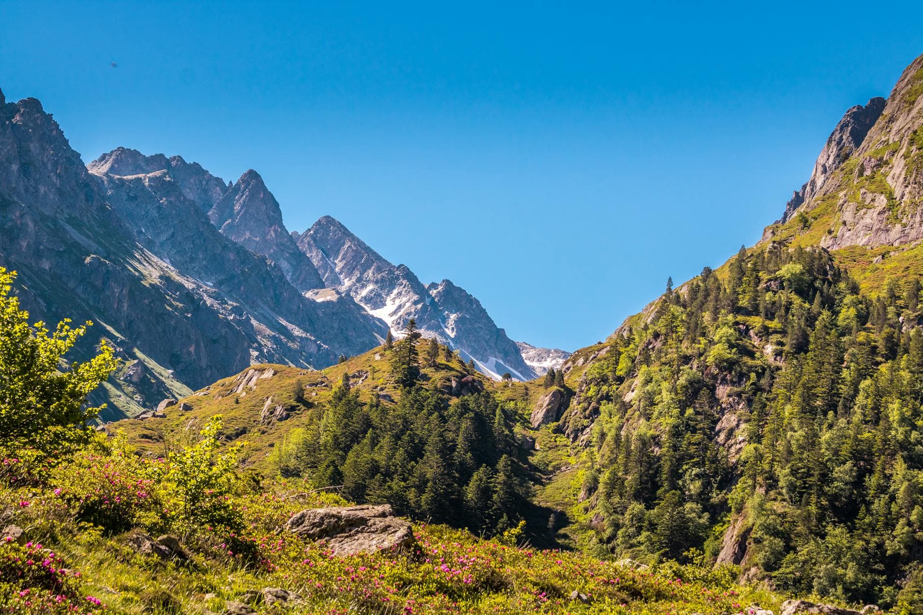 Breathtaking view of the Pyrenees mountains, lush greenery, and vibrant sky in Occitanie, France.