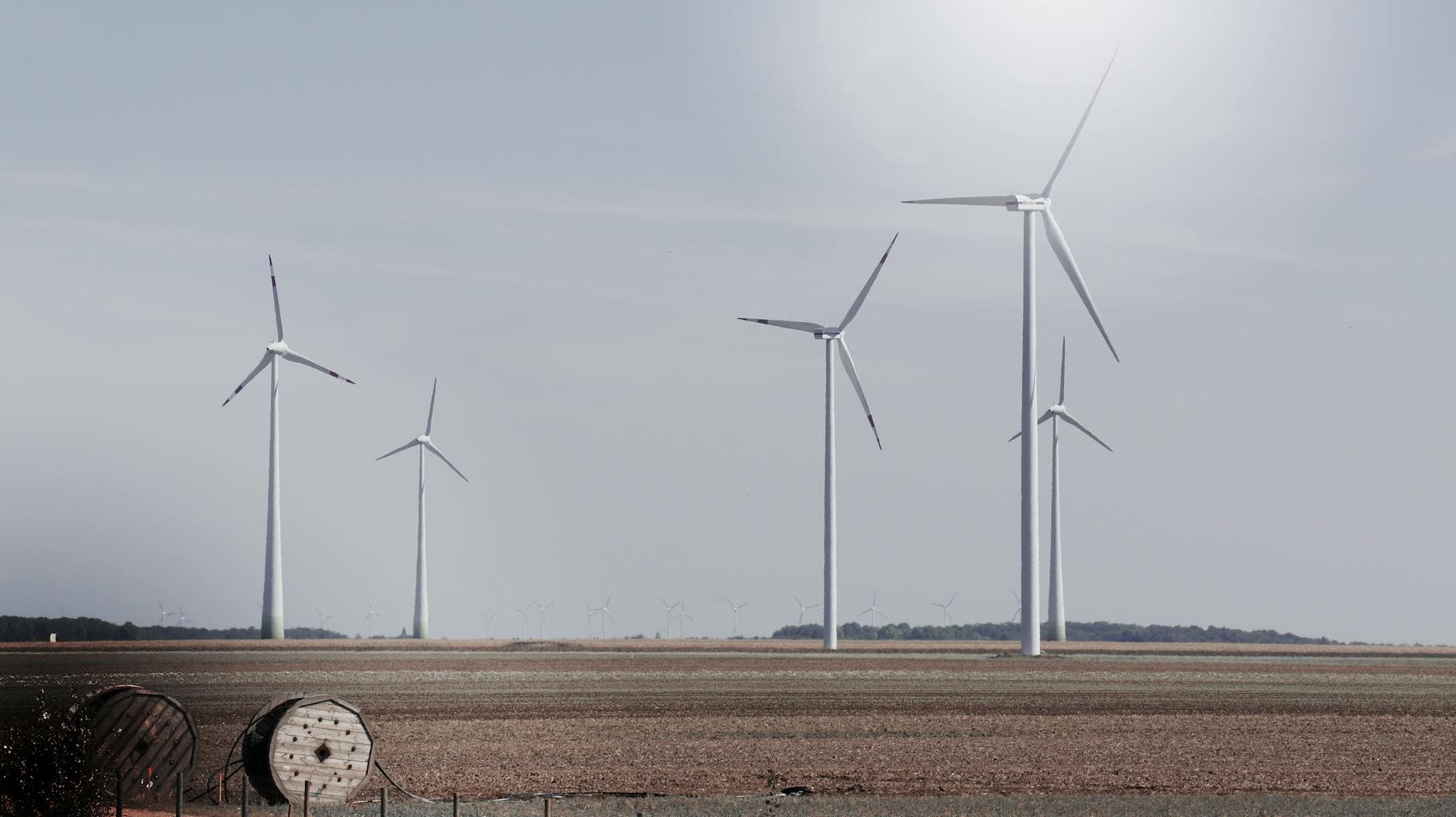 Wind turbines generating renewable energy in a vast open field under a clear sky.