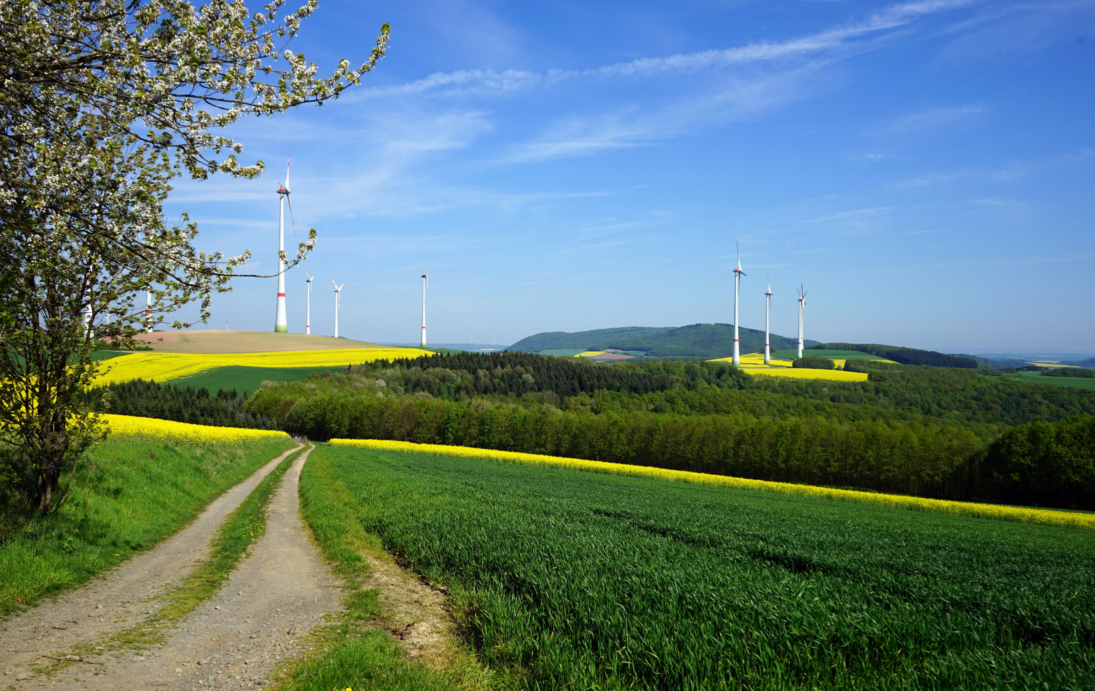 A modern wind turbine captured in Liepāja, Latvia, against a clear blue sky symbolizing clean energy.