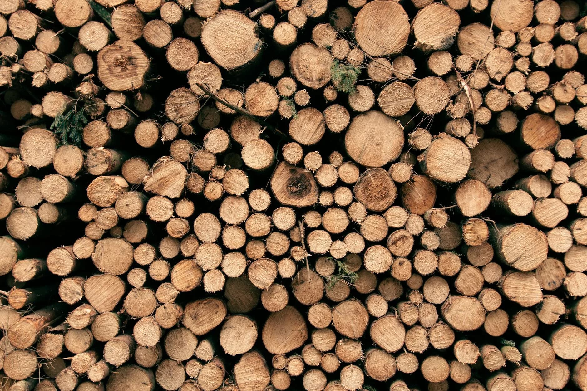 A close-up view of a stack of firewood logs showcasing natural texture and patterns.