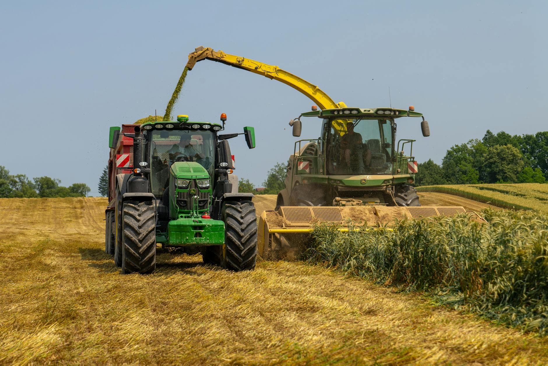 Harvesting scene in Croatian field with green tractor and combine harvester in summer.
